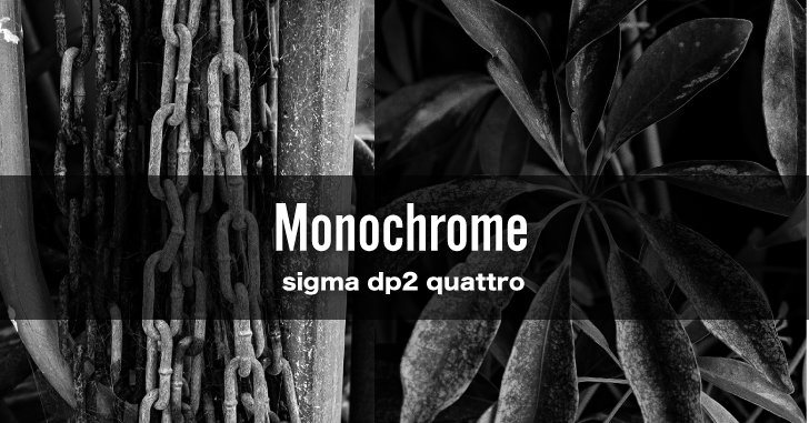 sigma dp2 quattroでモノクロ写真